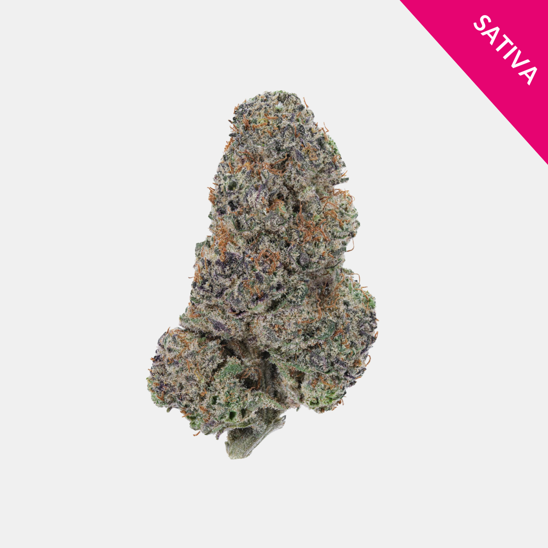 Strawberry Cough THCA Flower – Sonic Bloom Cannabis & Hemp