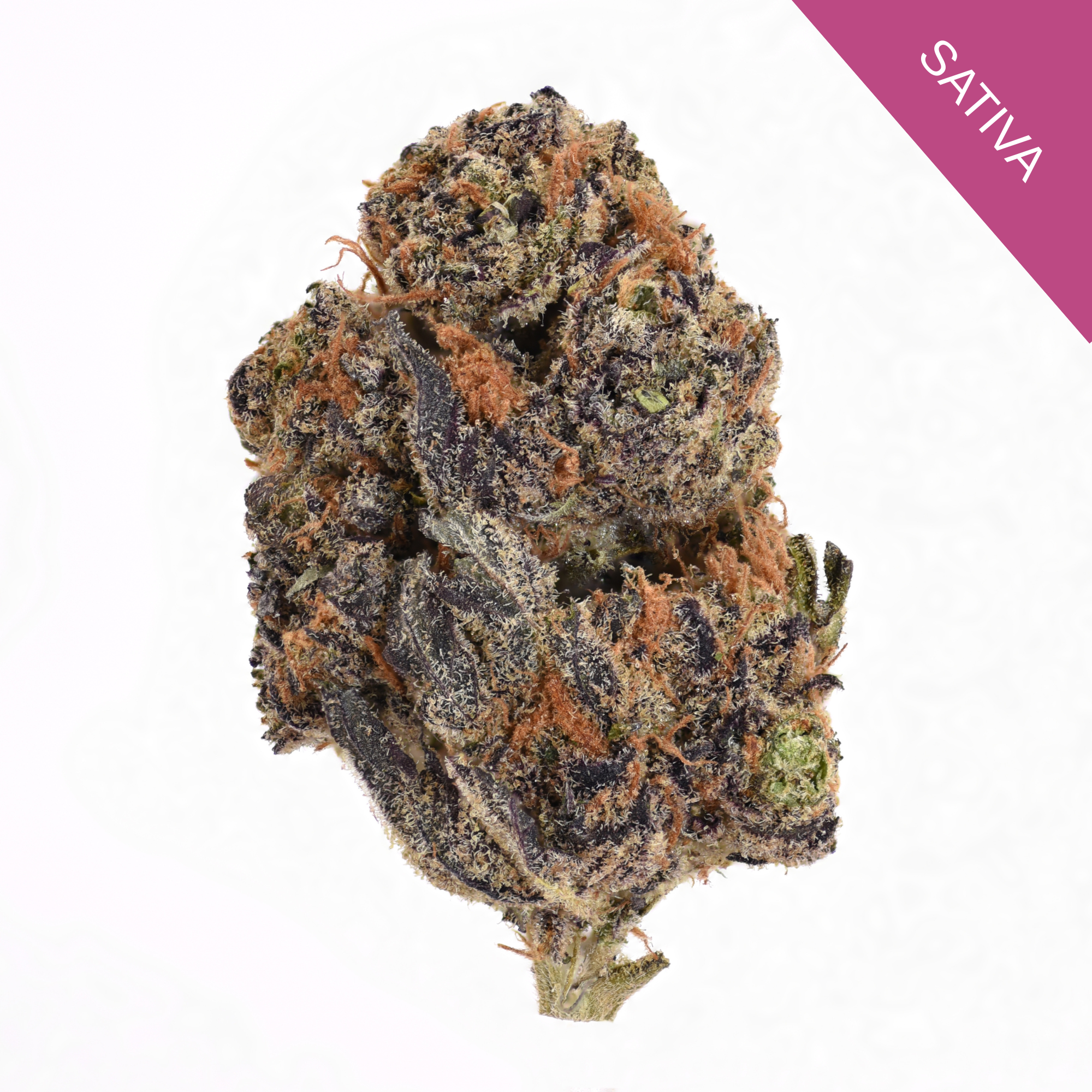 Black Current THCA Flower