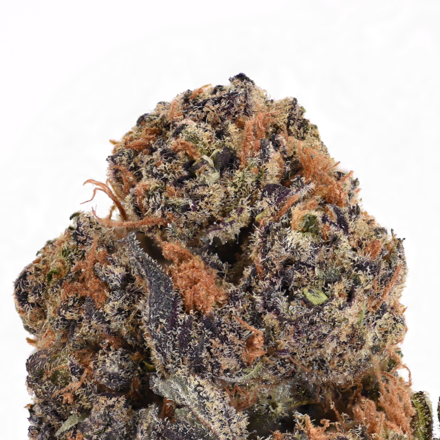 Black Current THCA Flower