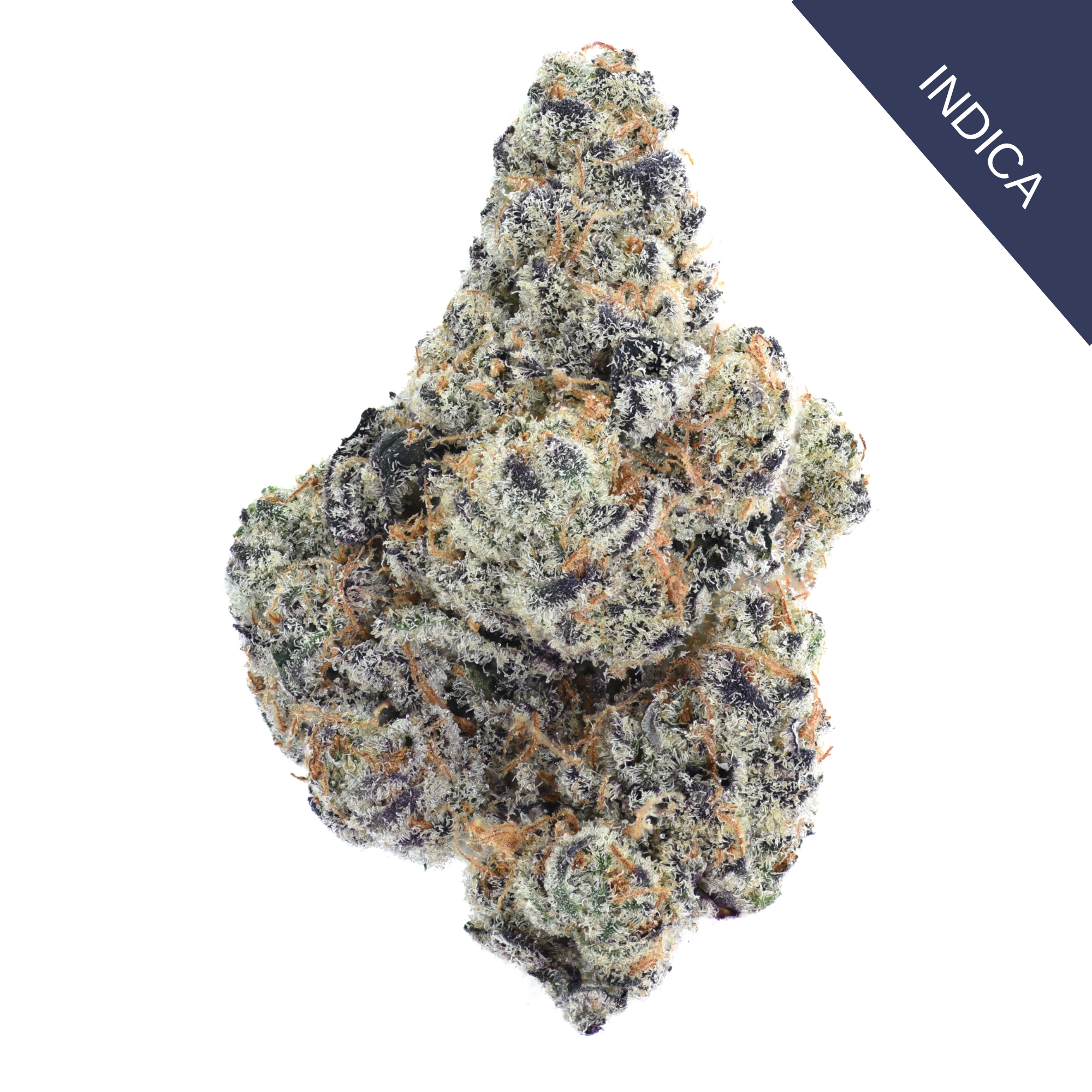 Blizzard King THCA Flower