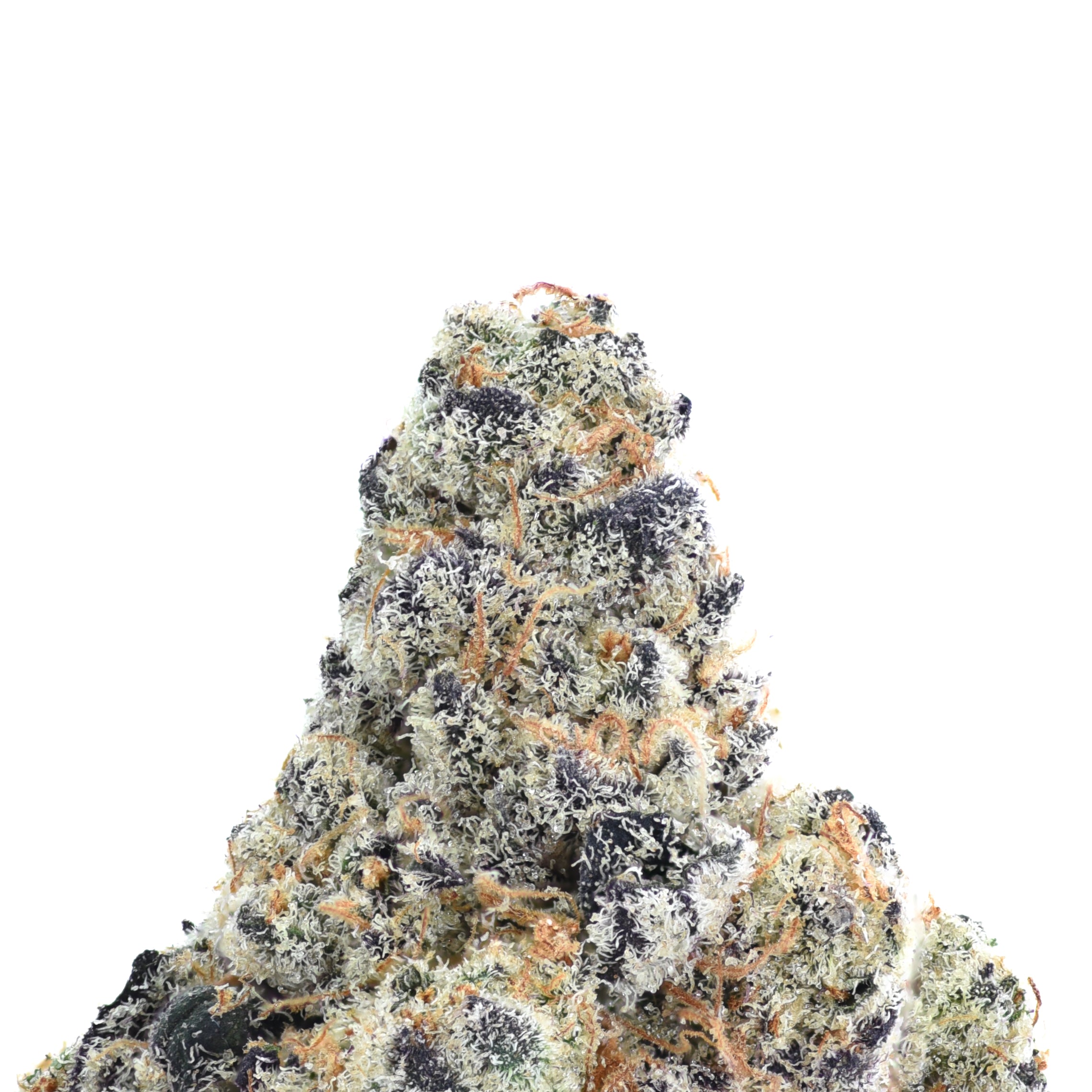 Blizzard King THCA Flower