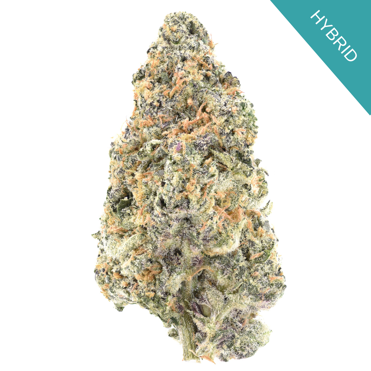 Blue Zangria THCA Flower