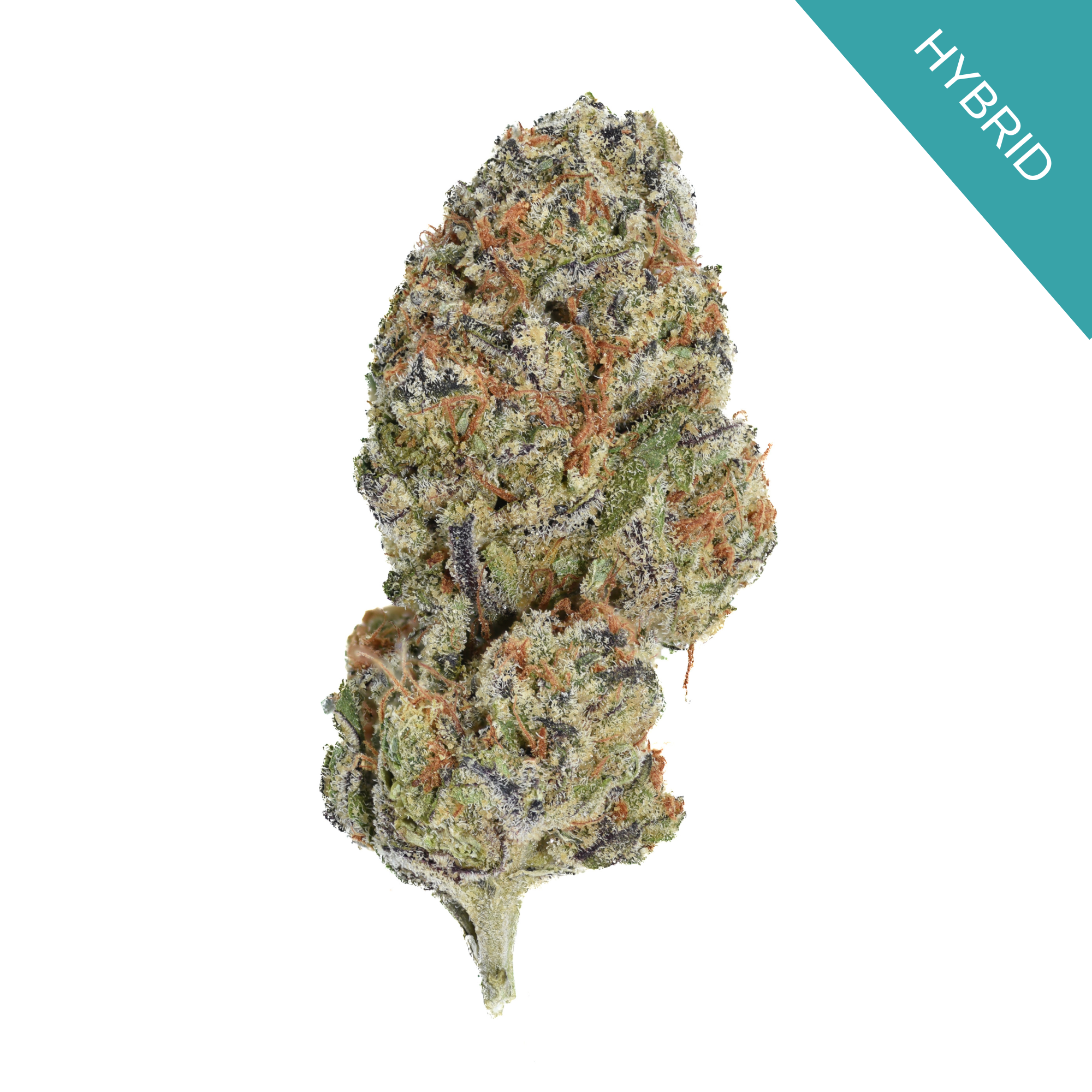 Blueberry Cheesecake THCA Flower