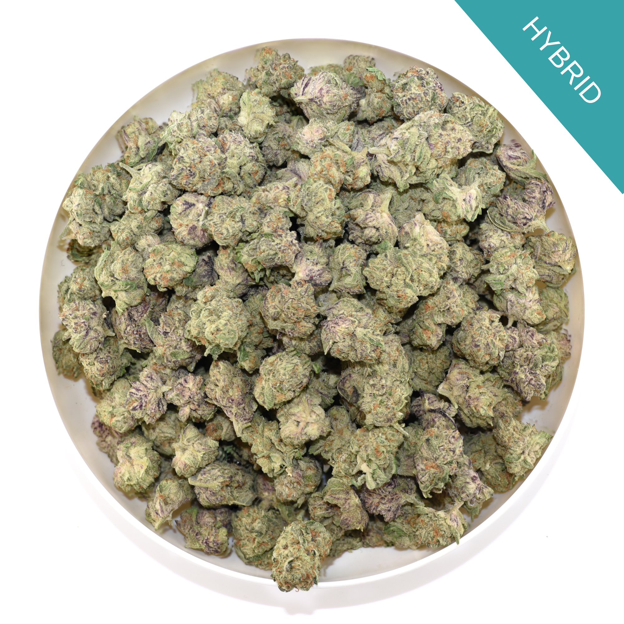 Blueberry Sherbet THCA Flower Discounted Oz