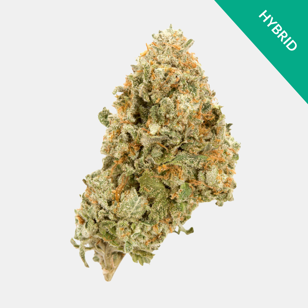 Cherry Lime Rickey THCA Flower