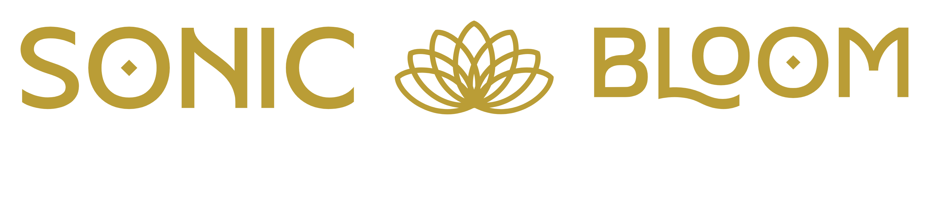 Sonic Bloom Cannabis & Hemp Dispensary - Statesville, North Carolina