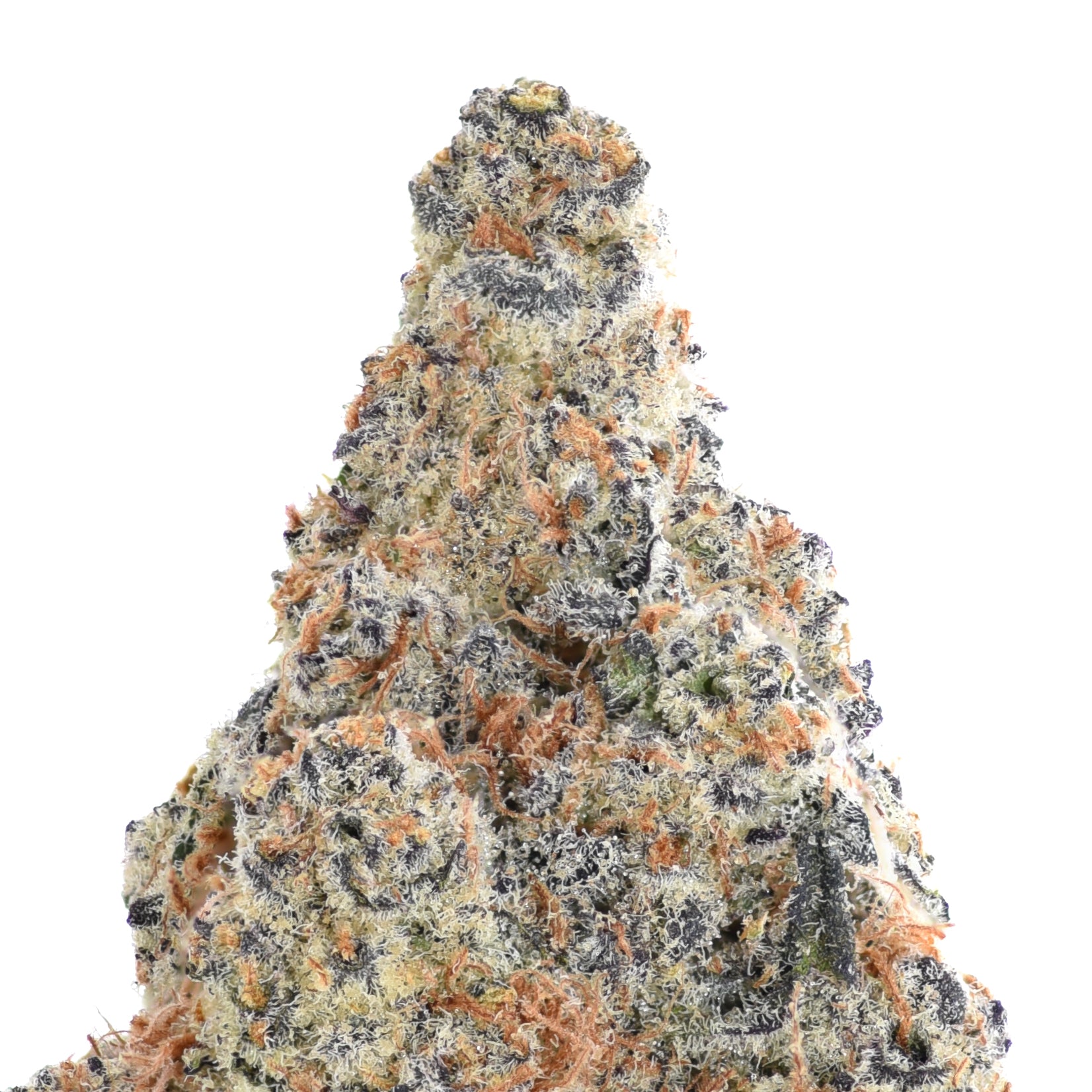 Dante's Wrath THCA Flower