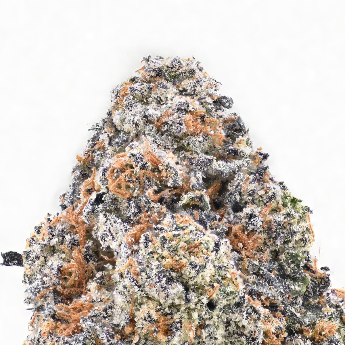 Dr Pepper THCA Flower