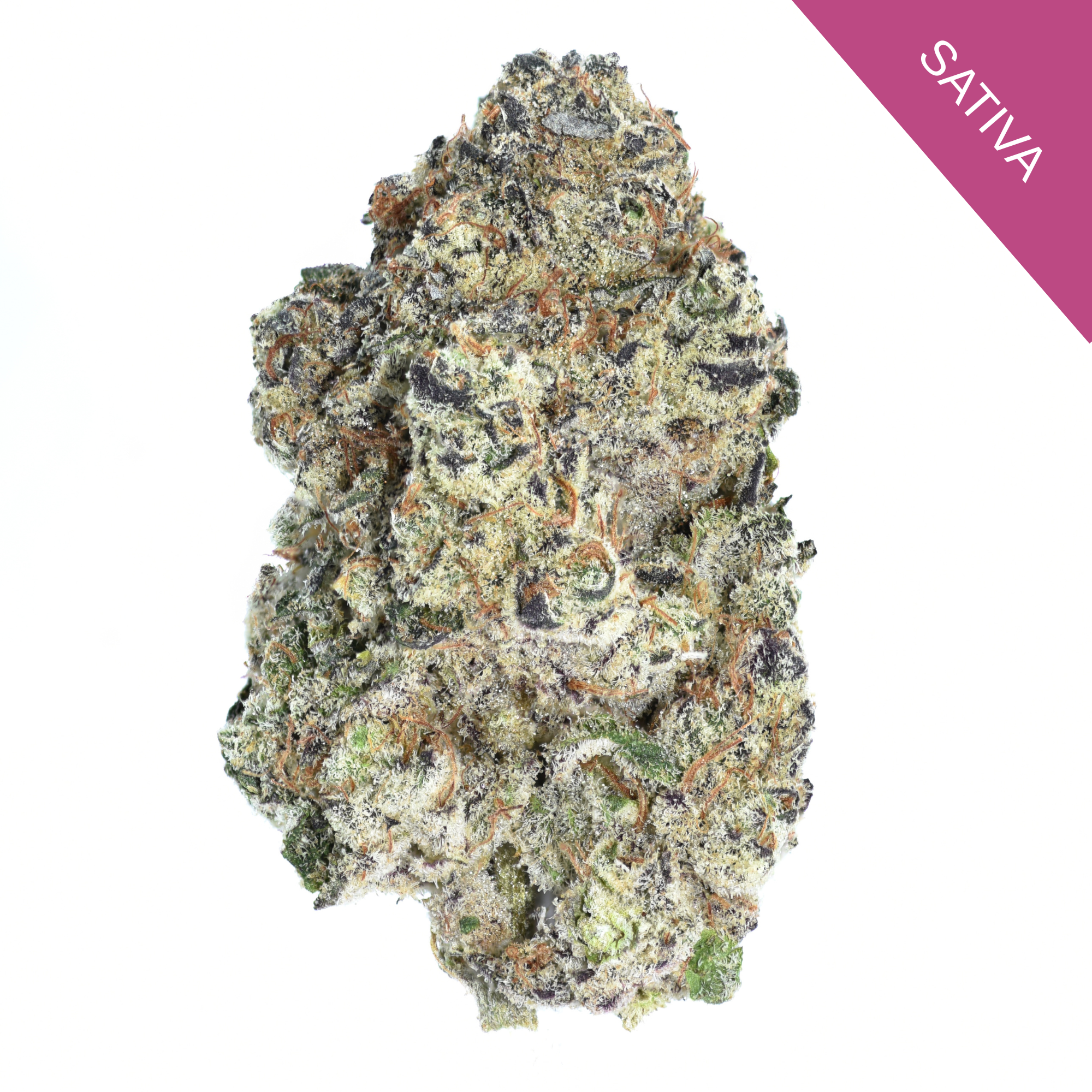 Flex Panther THCA Flower