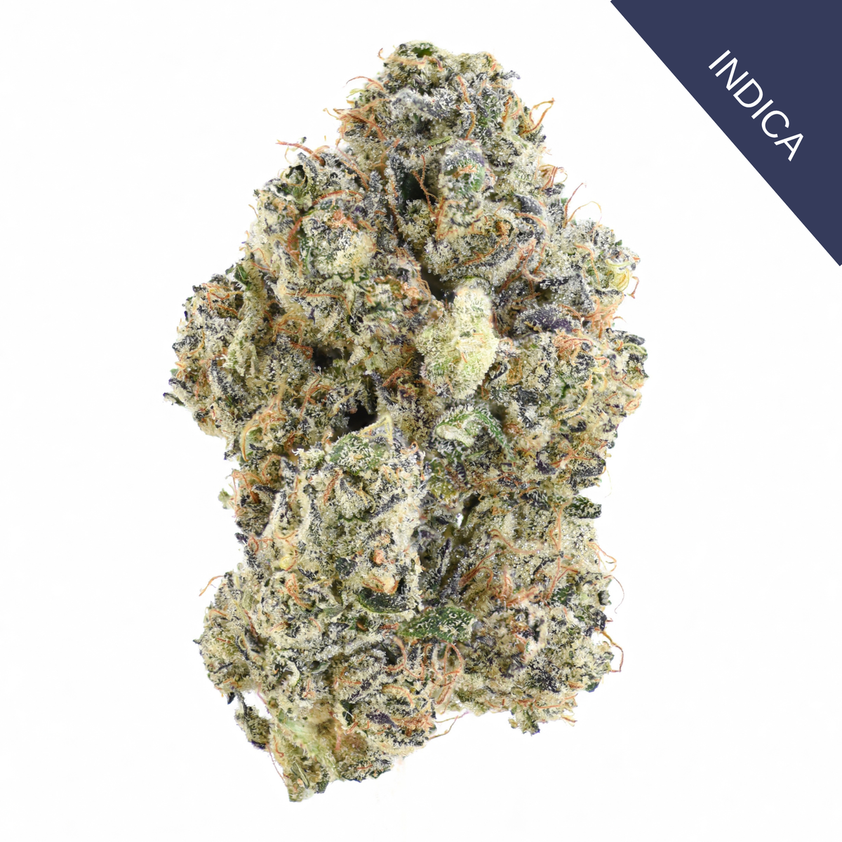 French Lotus THCA Flower