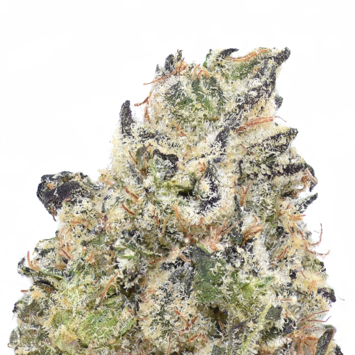 French Laundry THCA Flower