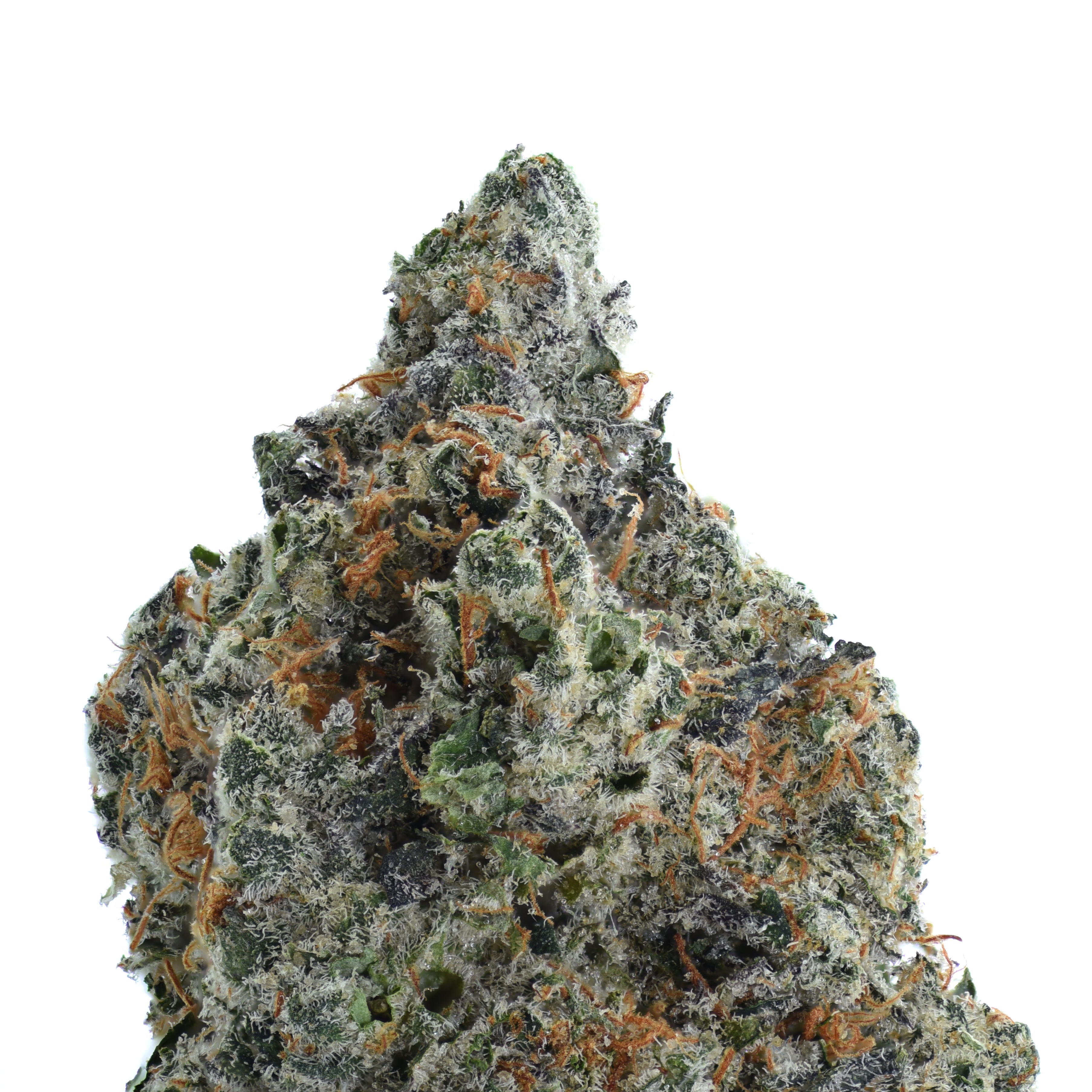 Garlic Juice THCA Flower