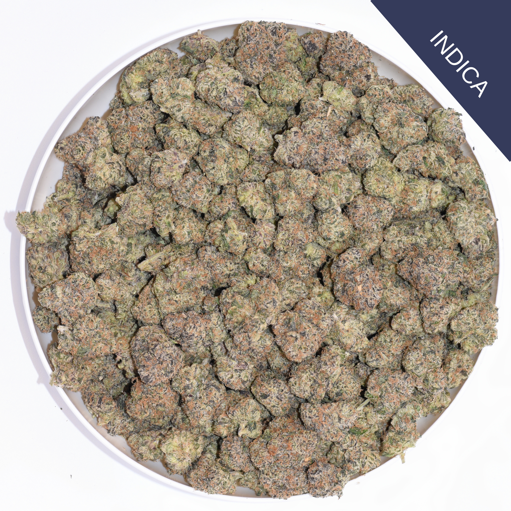 Gazzurple THCA Flower Discounted Oz