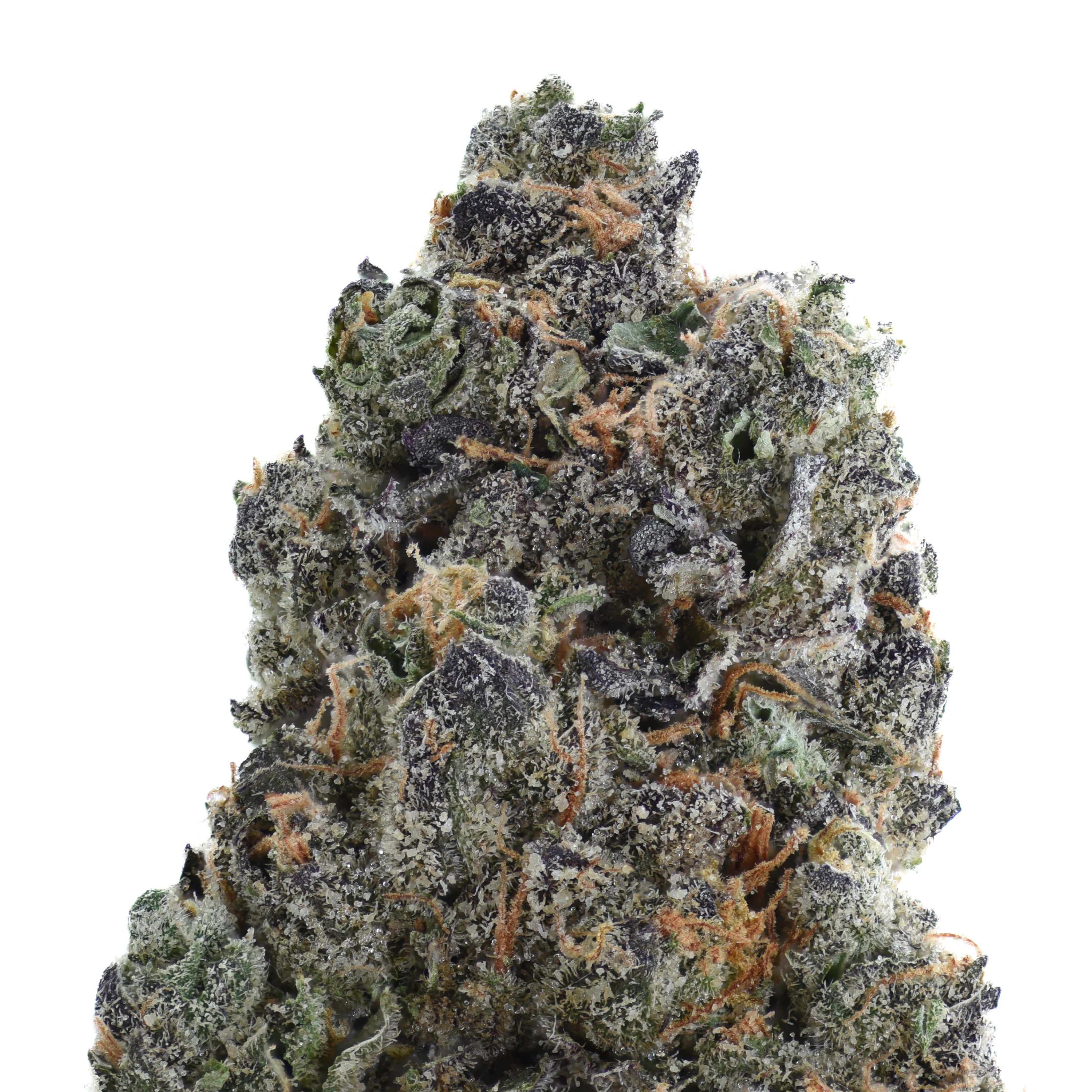 Halle Berry THCA Flower