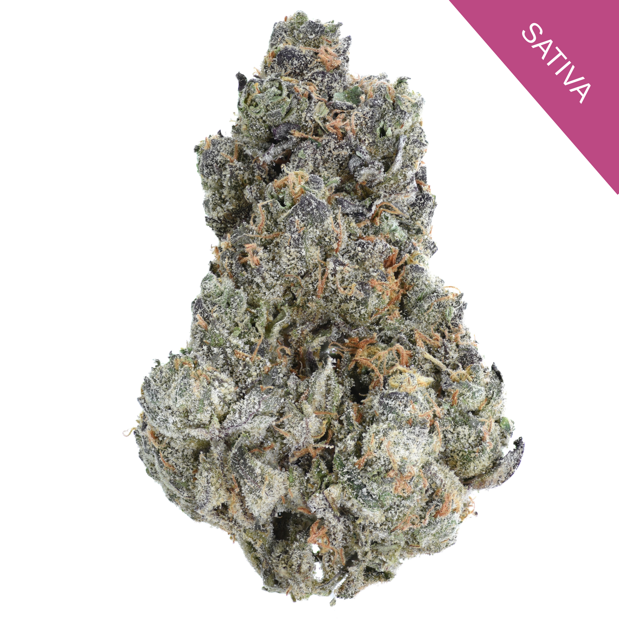 Halle Berry THCA Flower