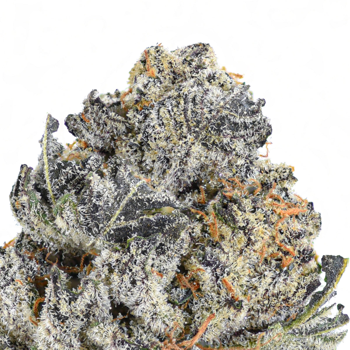 Jungle  Gym THCA Flower