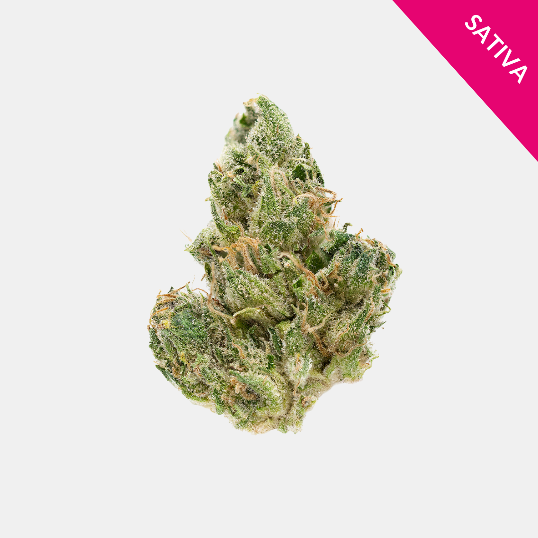 Lemon Gas THCA Flower