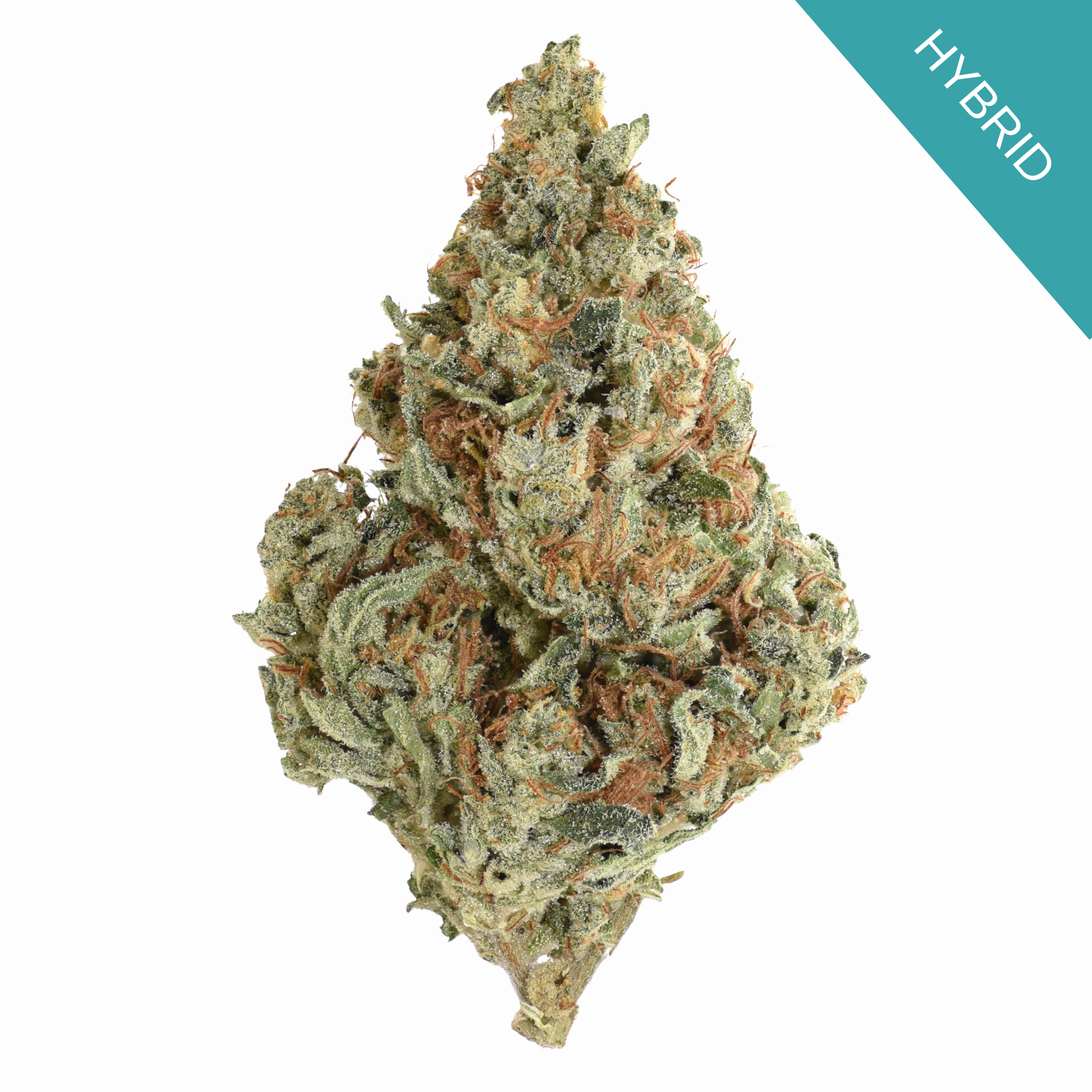 Mac Sherb THCA Flower