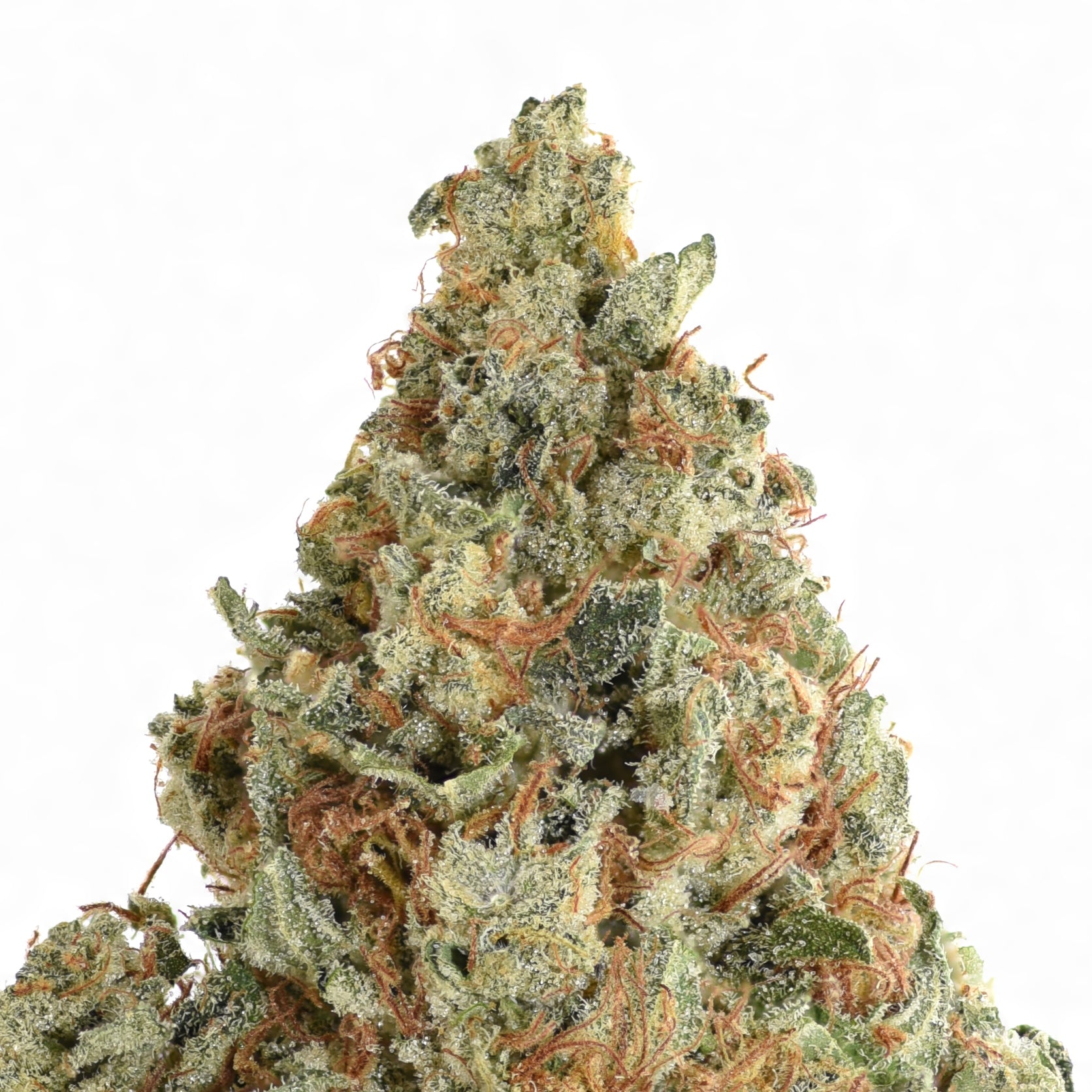 Mac Sherb THCA Flower