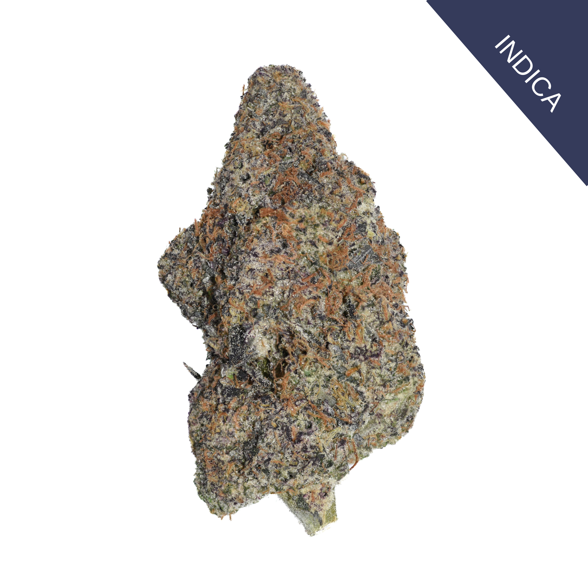 New Money THCA Flower