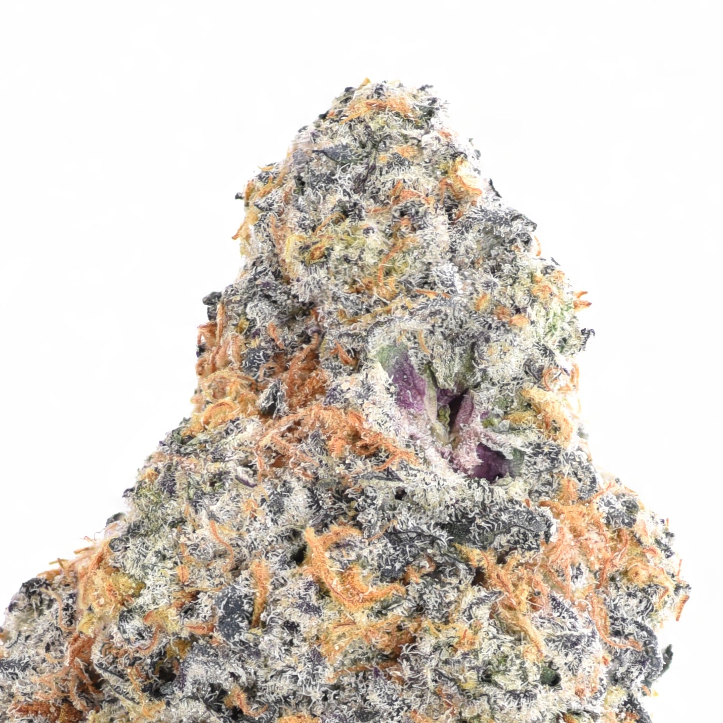 Old Money THCA Flower