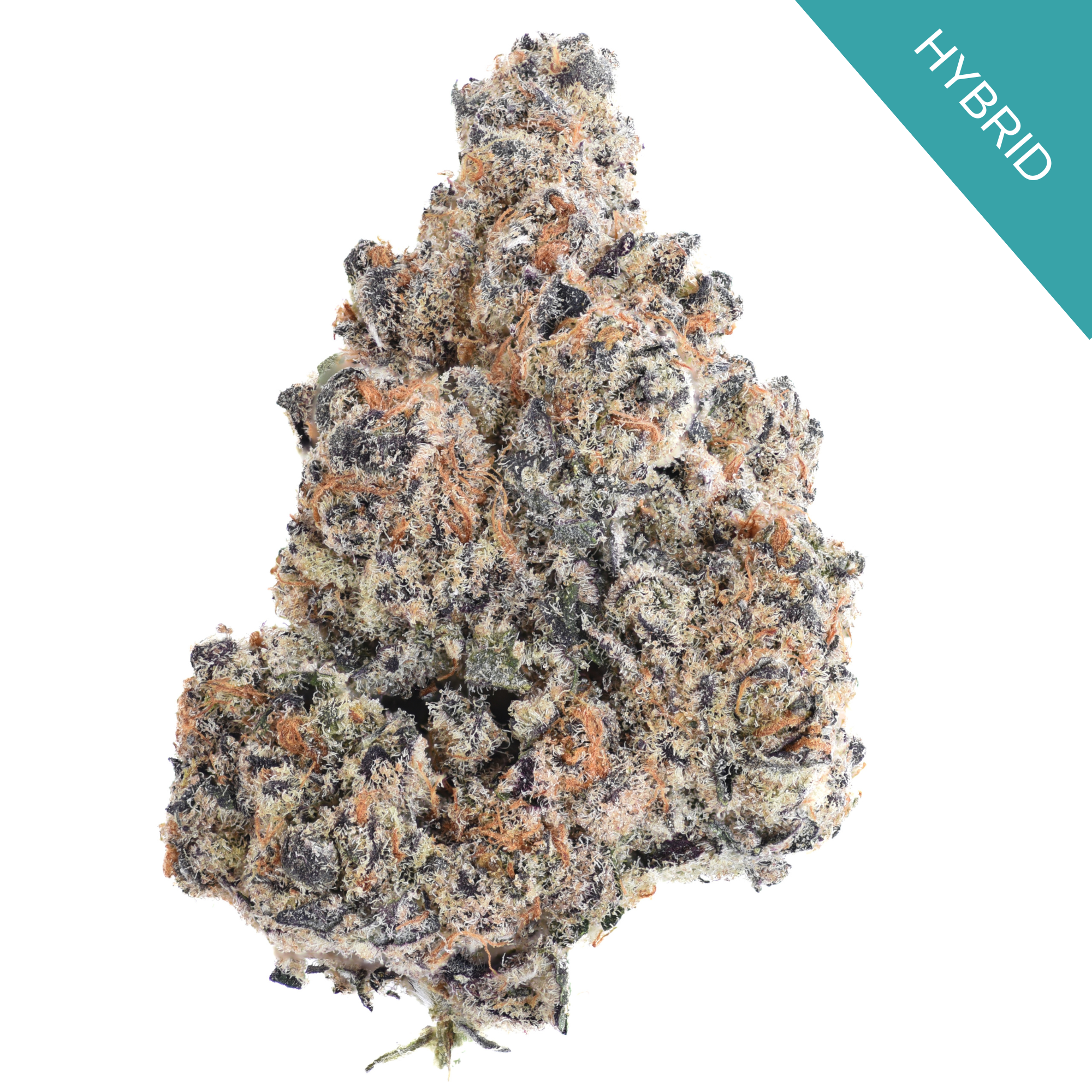Plutonium OG THCA Flower
