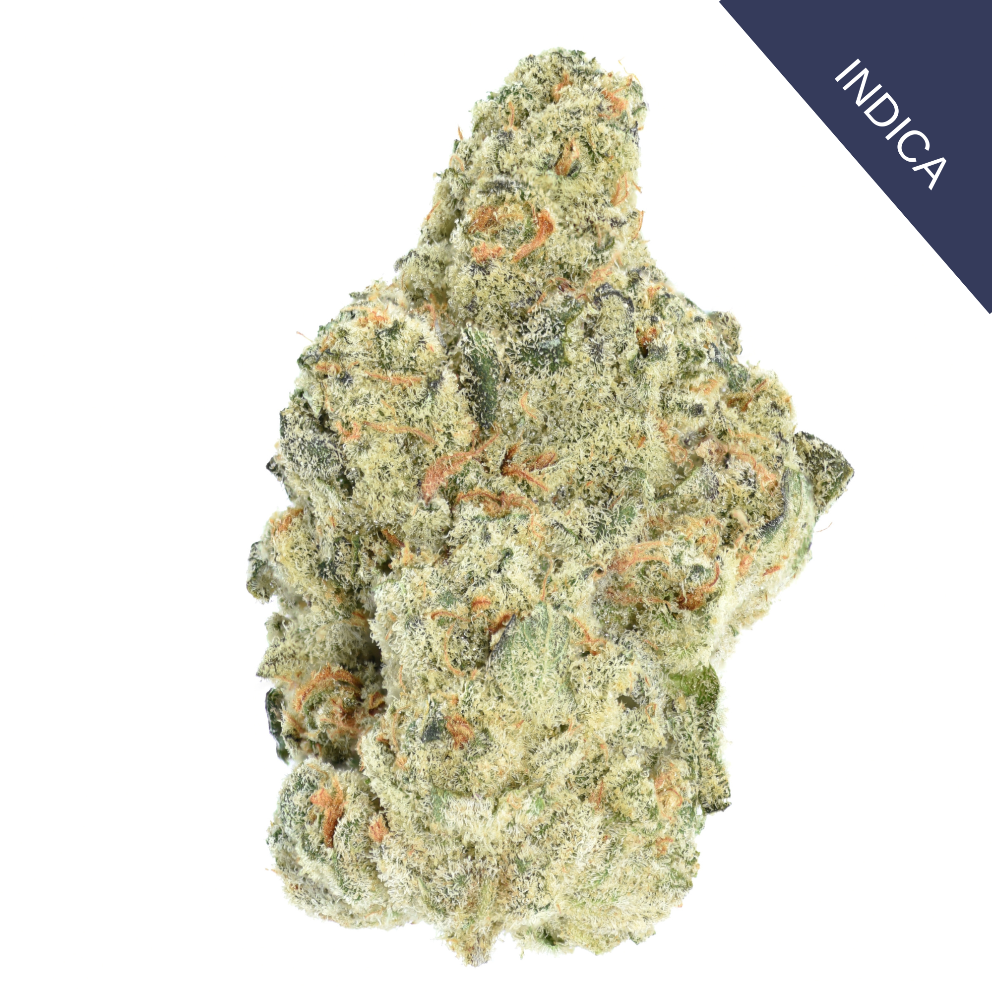 Powdered Donuts THCA Flower