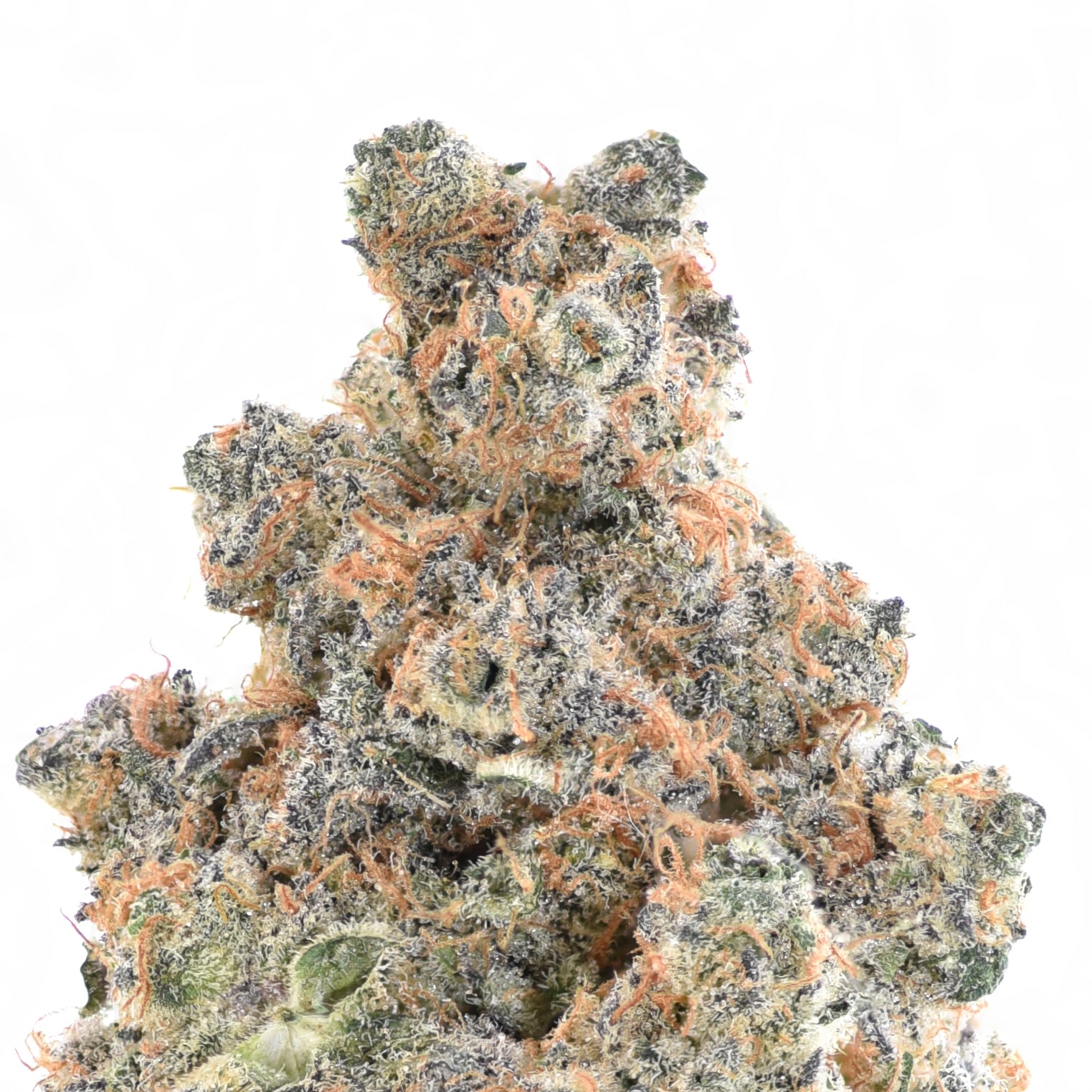 Purple Punch THCA Flower