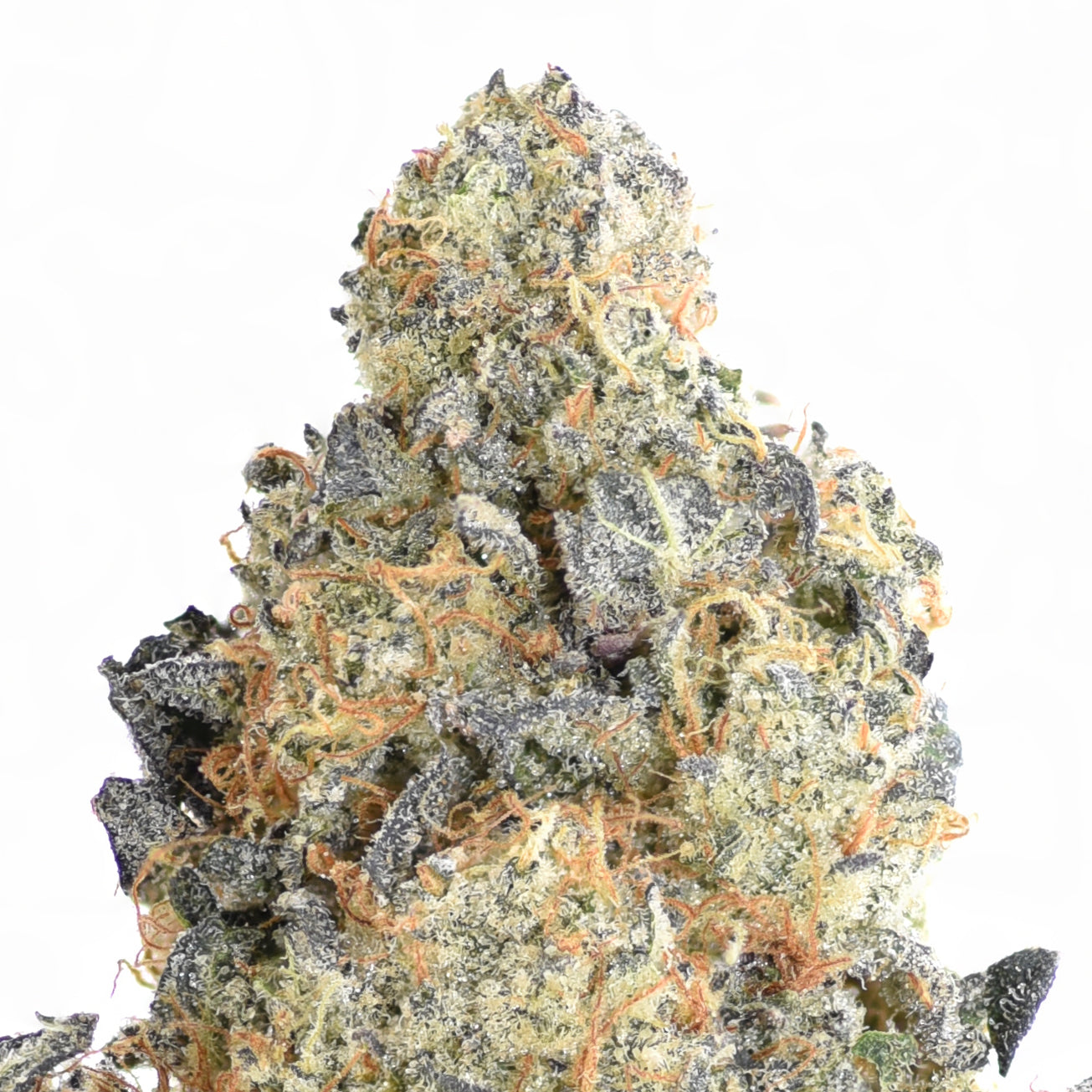 Purple Kush Cake THCA Flower