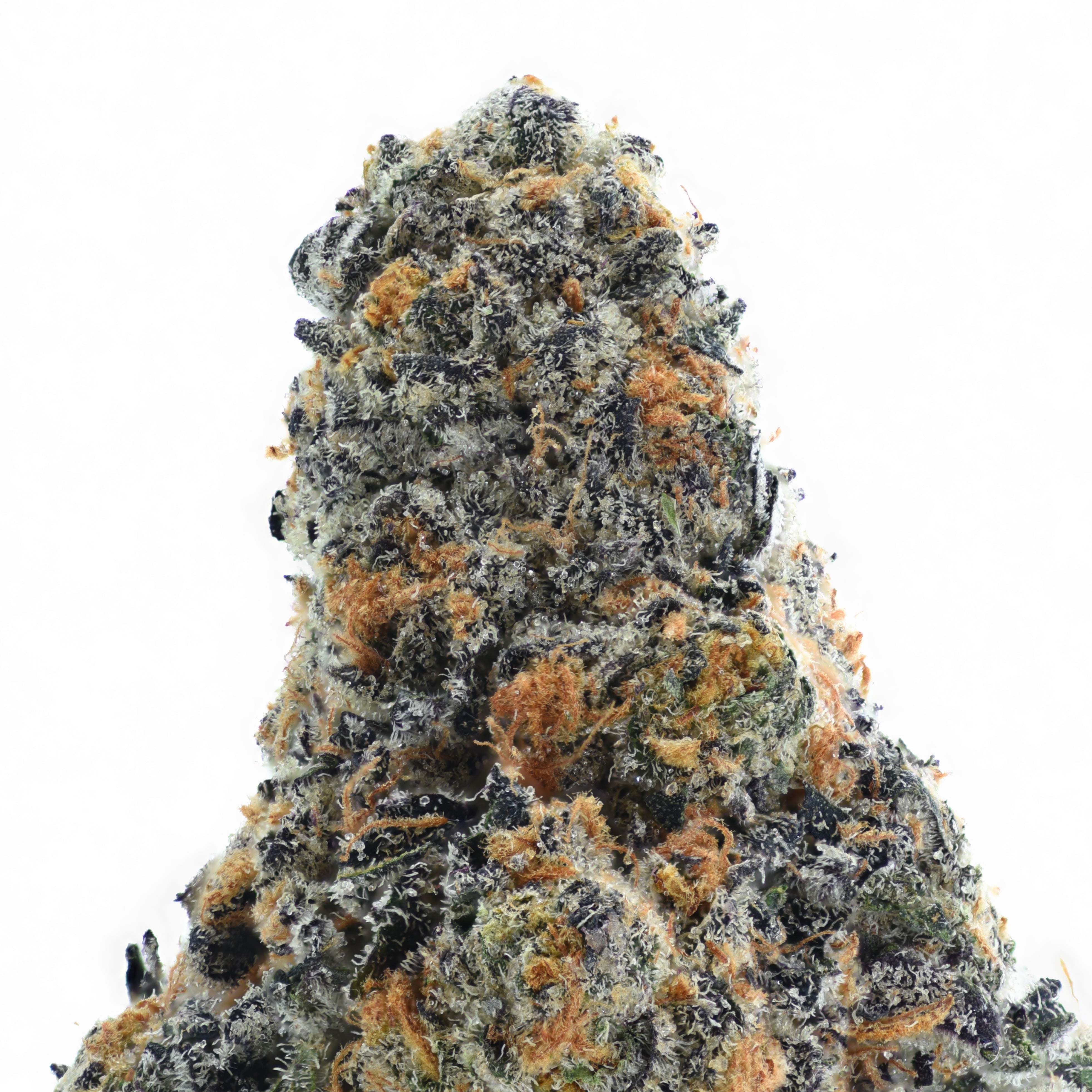 Rainbow Gas THCA Flower