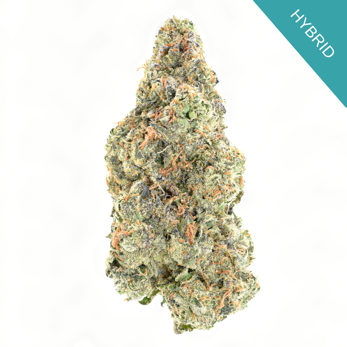 Rolex Runtz THCA Flower