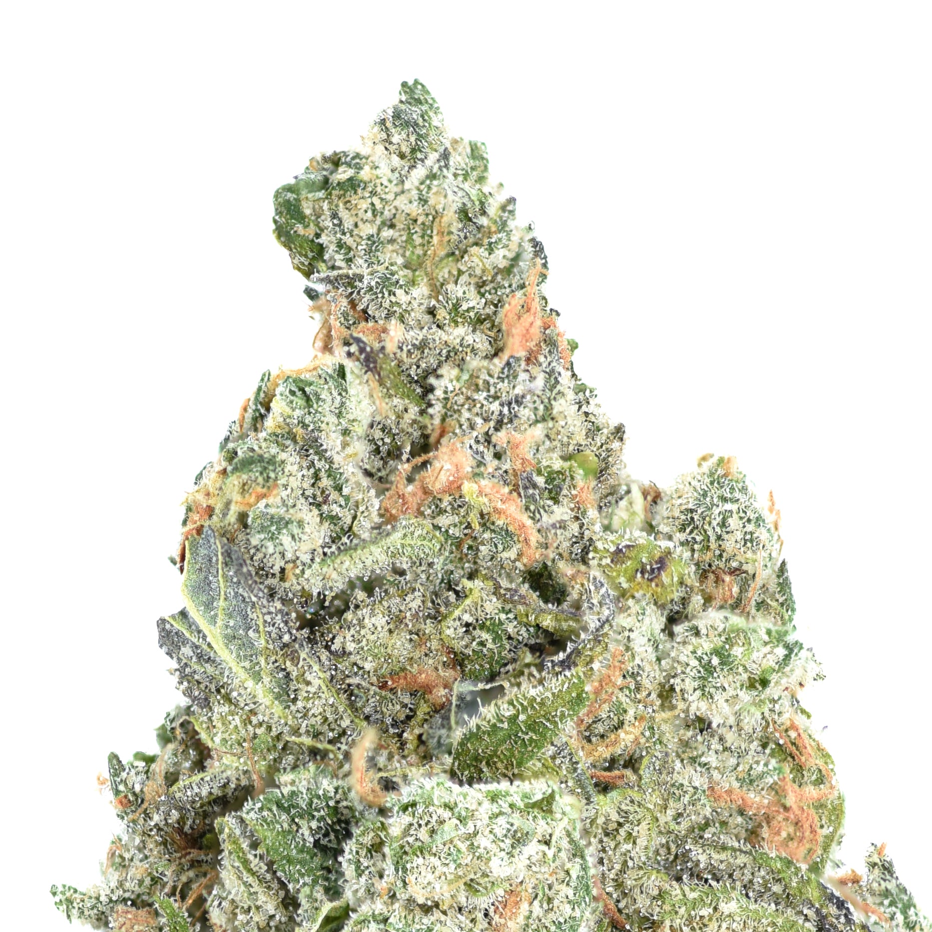 Silver OG THCA Flower