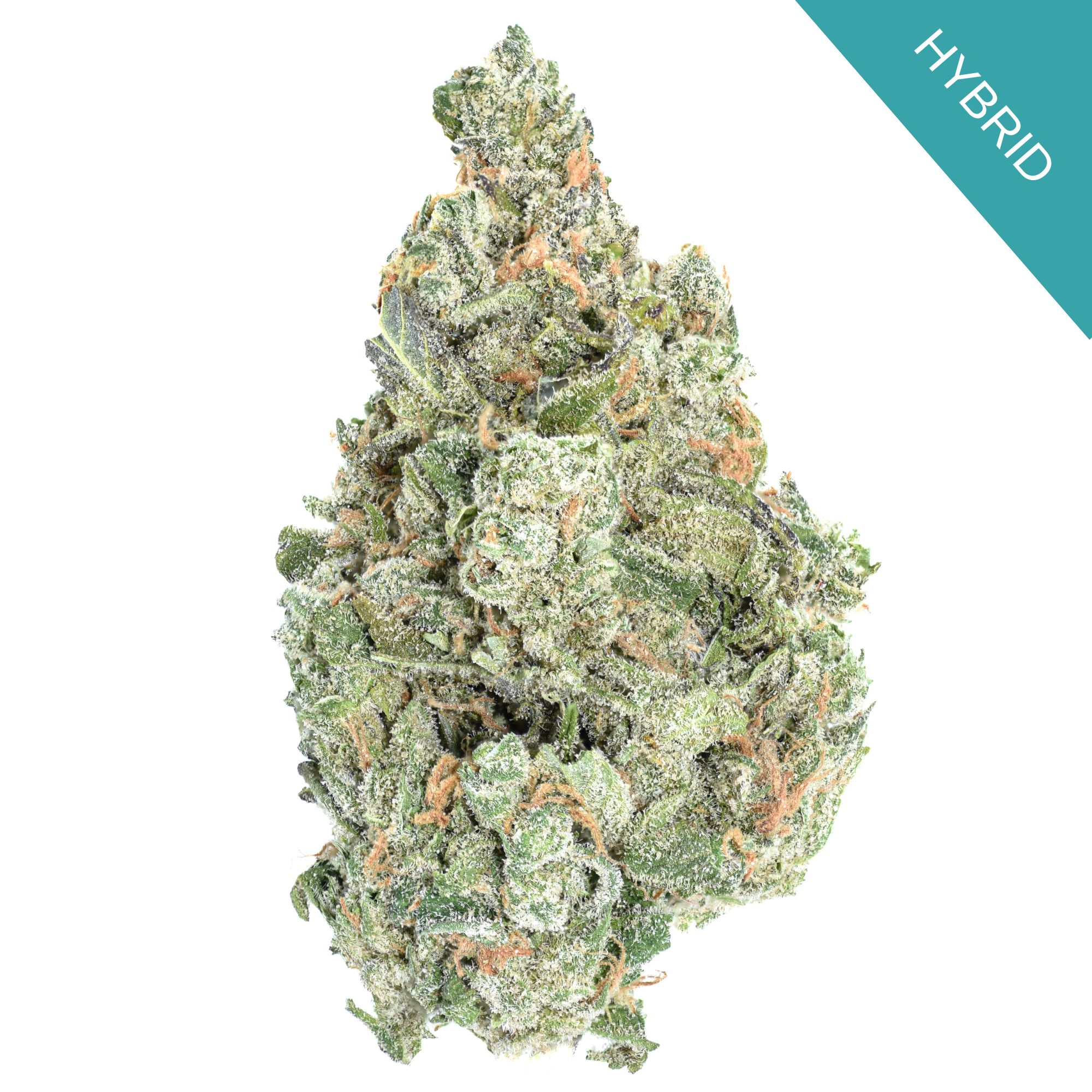 Silver OG THCA Flower