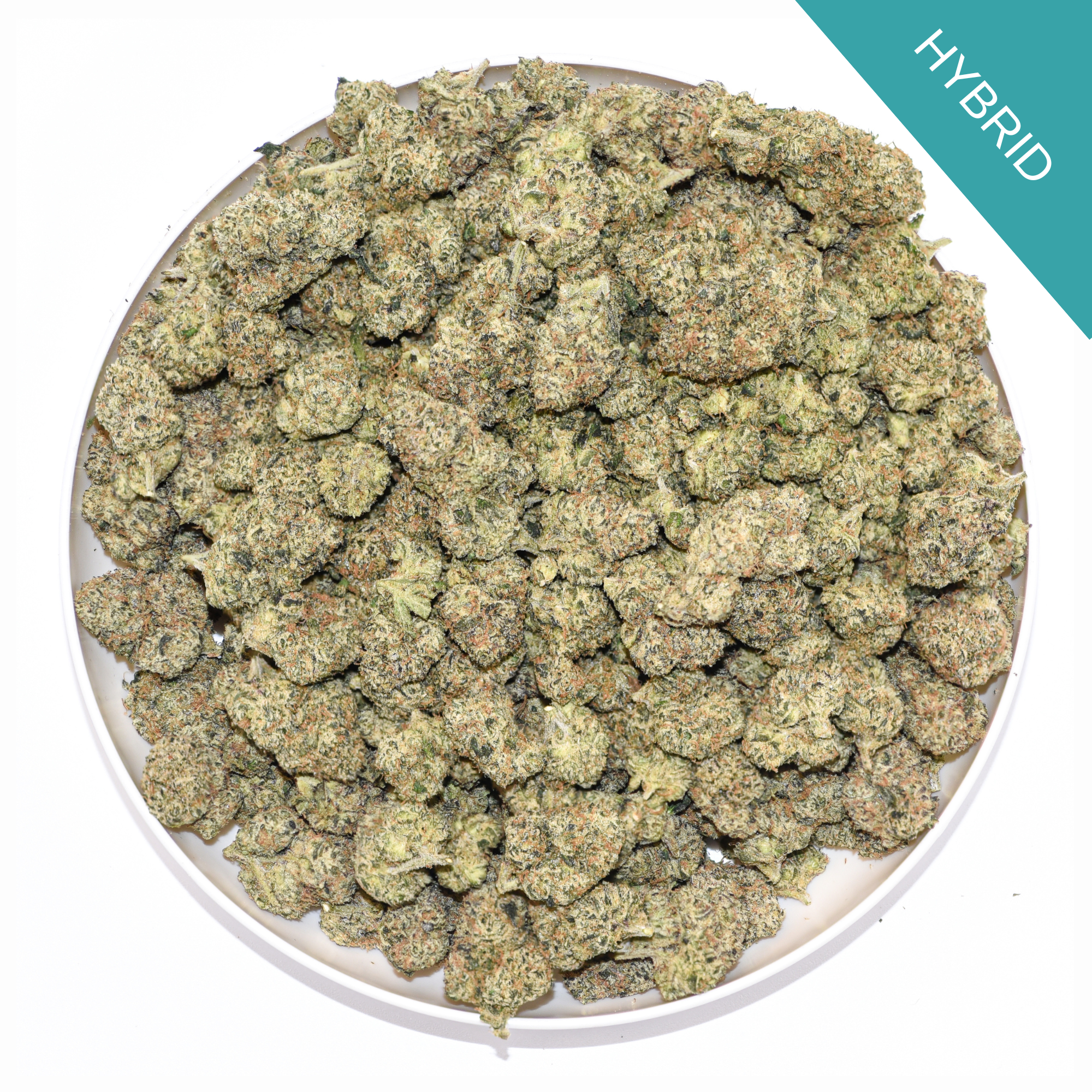 Sour Belts THCA Flower Discounted Oz