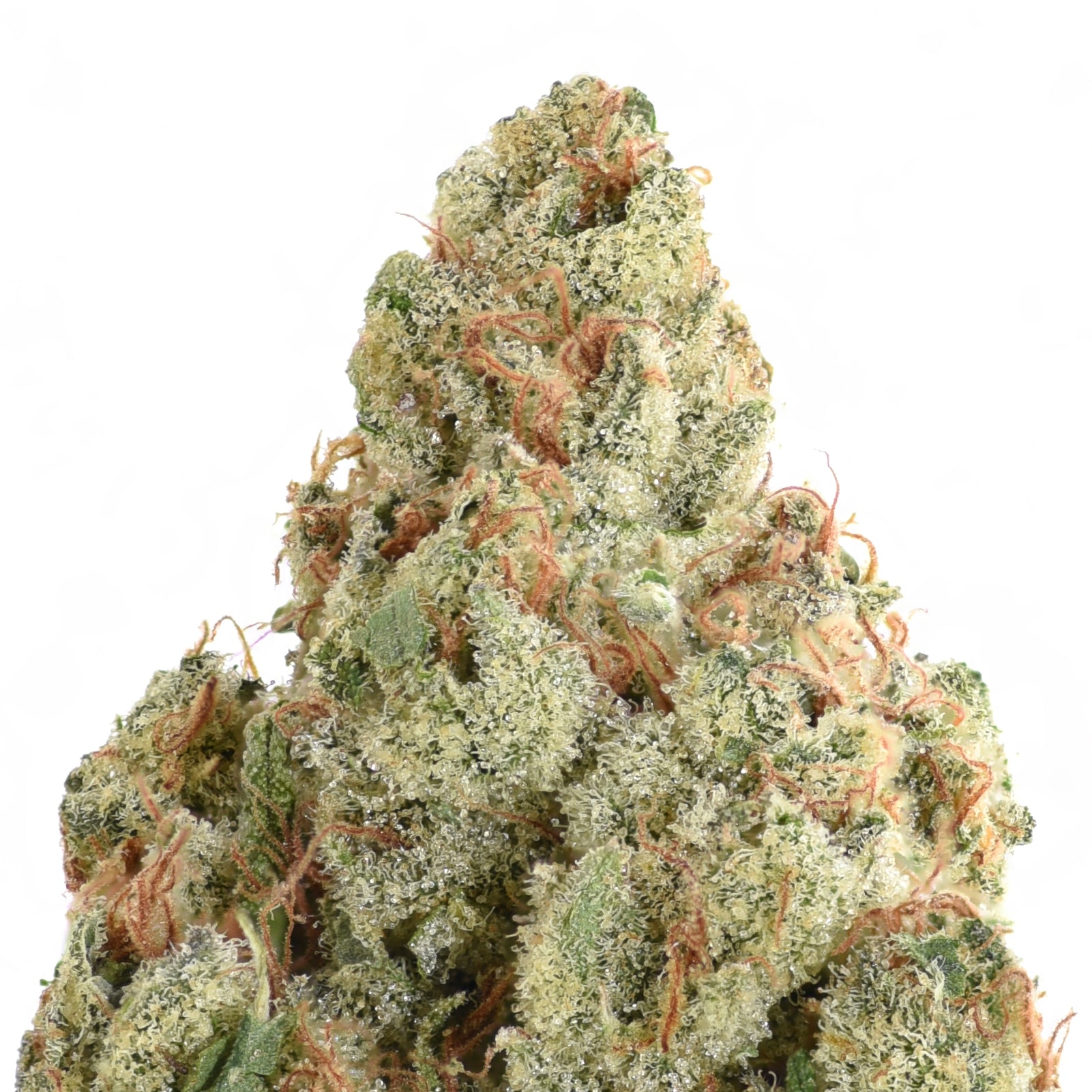 Strawberry Bubbles THCA Flower