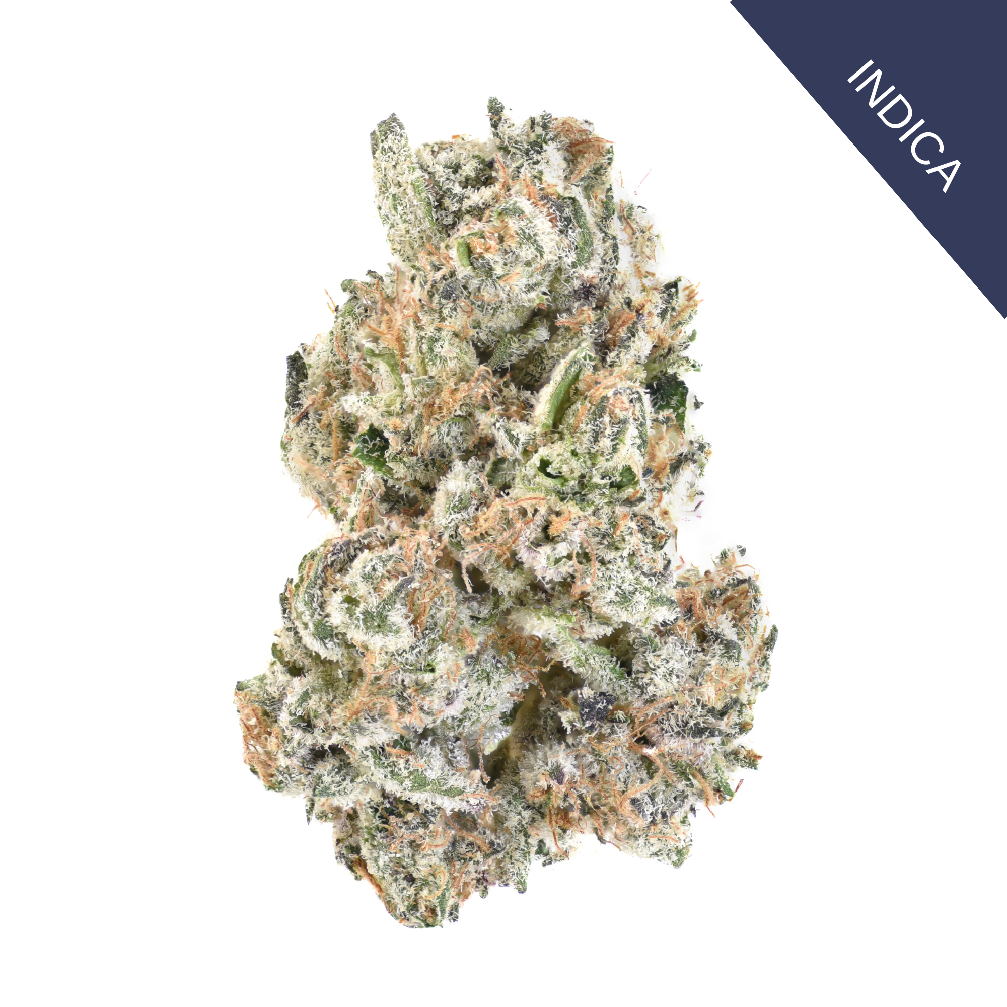 Sugar Breath THCA Flower