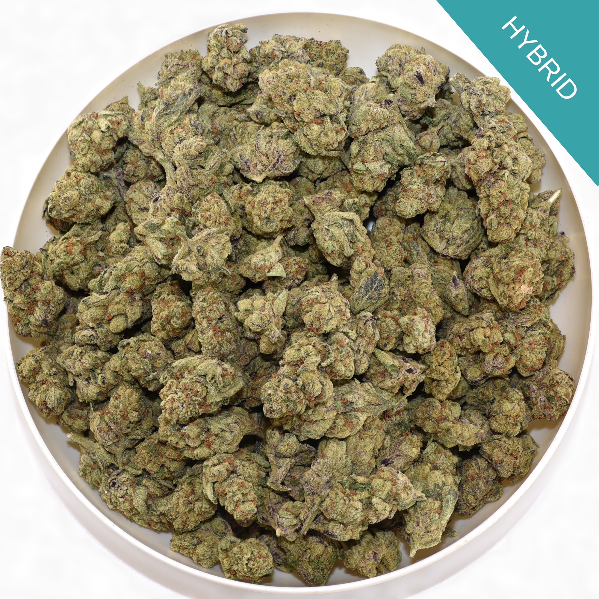 Sugar Cookies THCA Flower Discounted Oz