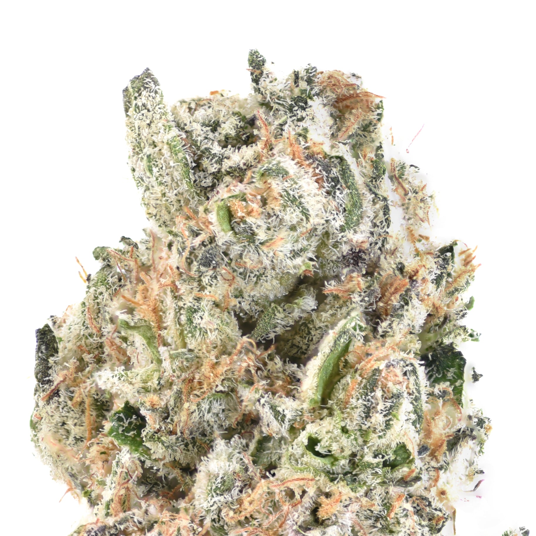 Sugar Breath THCA Flower