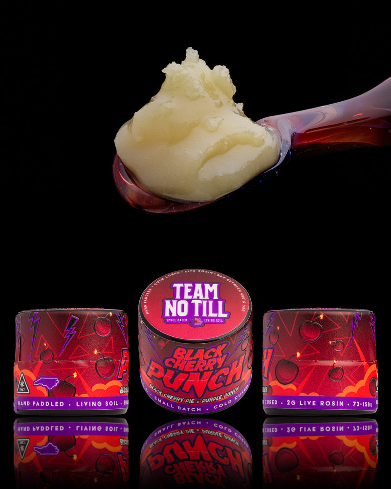 Team No Till Live Rosin Hash - Black Cherry Punch 2g