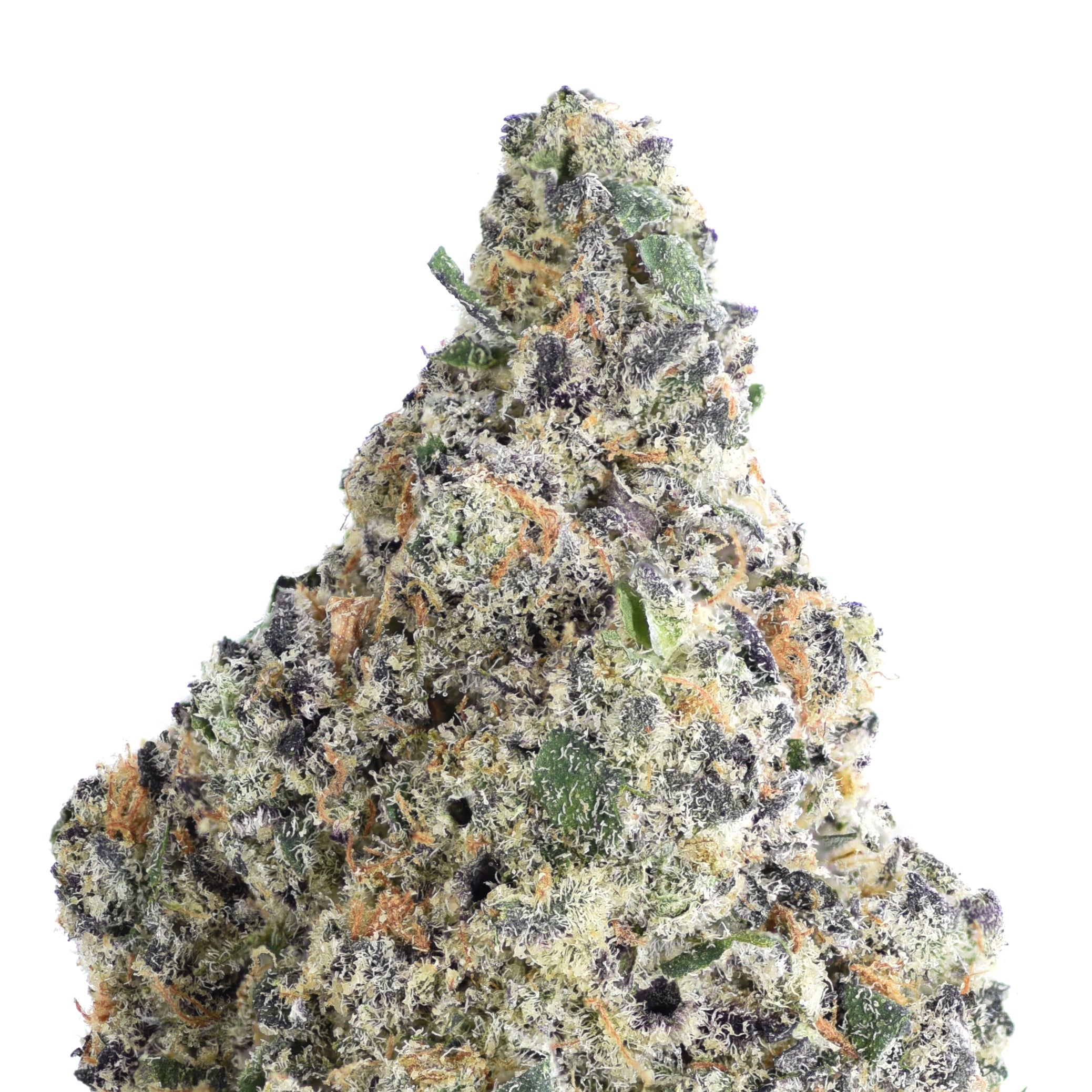 Tuscan Gelato THCA Flower
