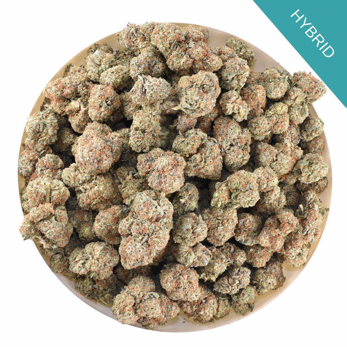 Vanilla Wafer THCA Flower Discounted Oz.