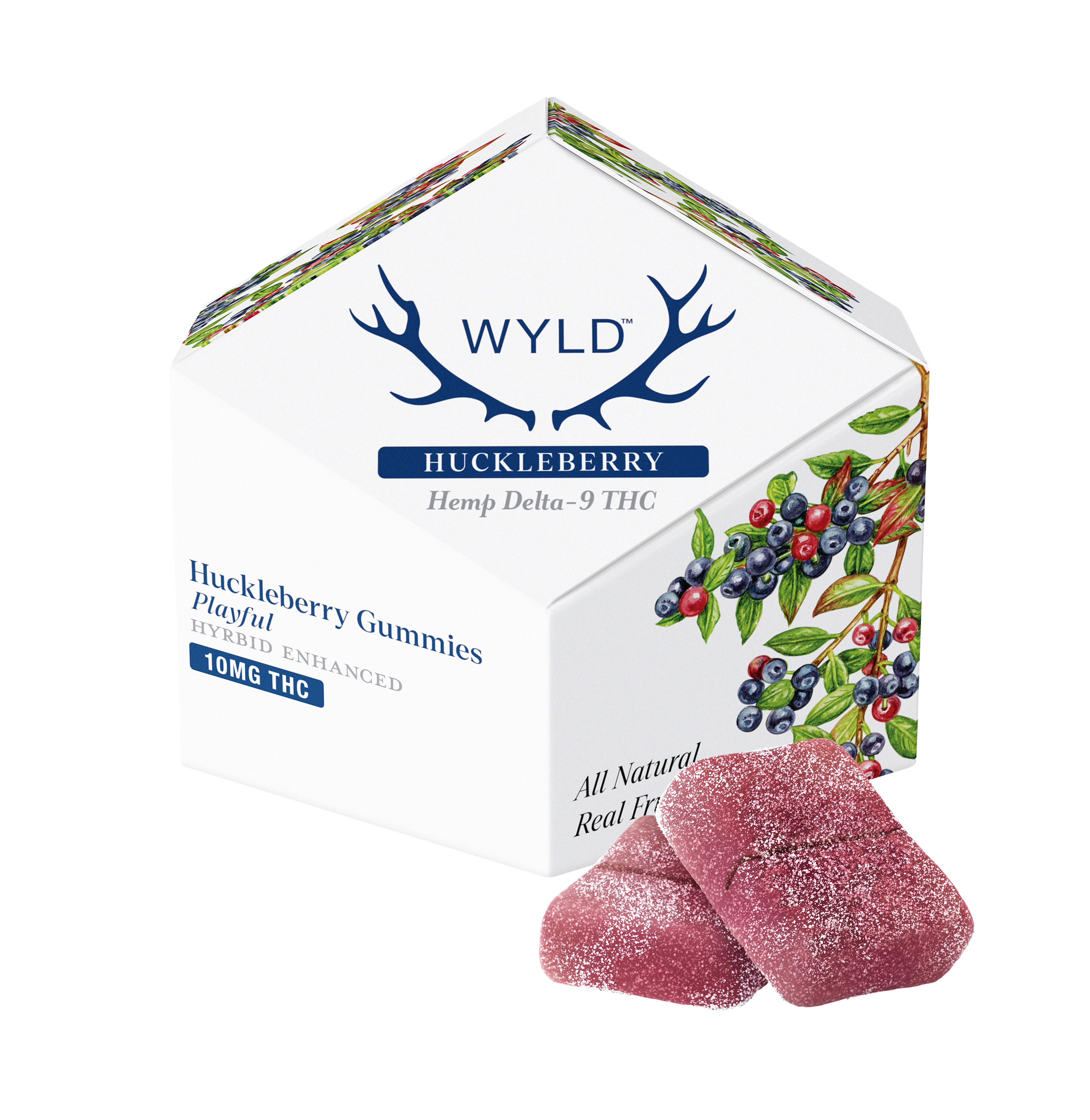 Wyld D9 Gummies - Playful - Huckleberry